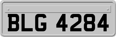 BLG4284
