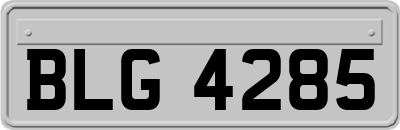 BLG4285