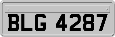 BLG4287