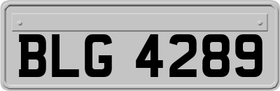 BLG4289