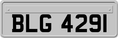 BLG4291