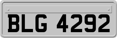 BLG4292