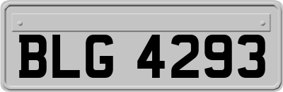 BLG4293