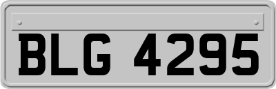 BLG4295