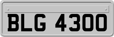 BLG4300