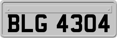 BLG4304