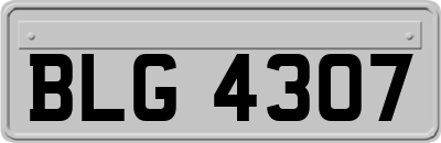 BLG4307
