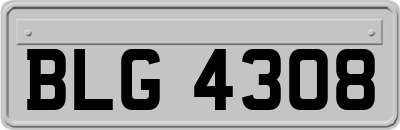 BLG4308