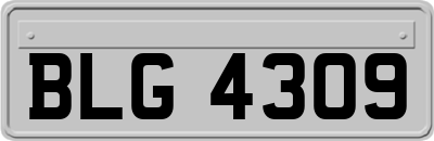 BLG4309