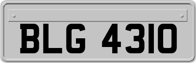 BLG4310