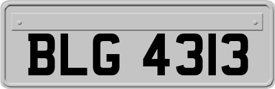 BLG4313