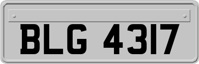 BLG4317
