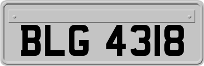 BLG4318