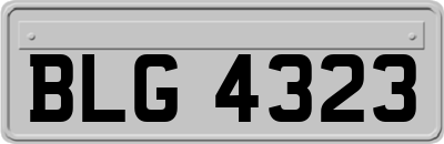 BLG4323