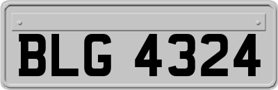 BLG4324