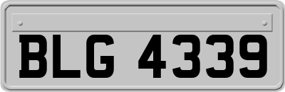 BLG4339