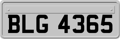 BLG4365