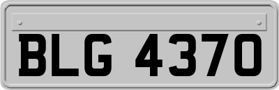 BLG4370