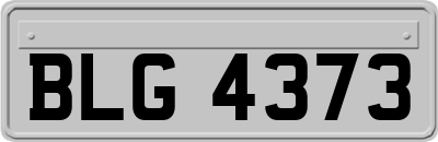 BLG4373