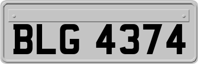 BLG4374