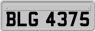 BLG4375