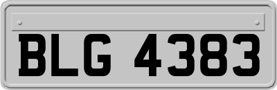 BLG4383