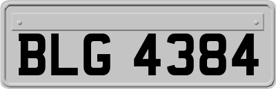 BLG4384