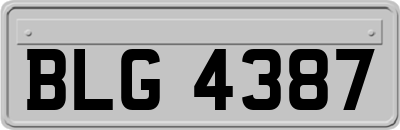 BLG4387