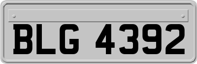 BLG4392