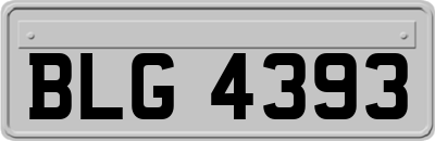 BLG4393
