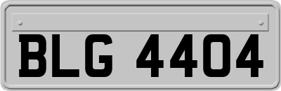 BLG4404