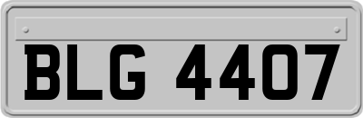 BLG4407