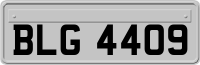 BLG4409