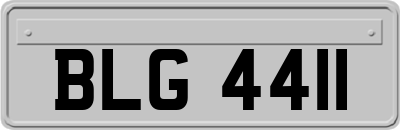 BLG4411
