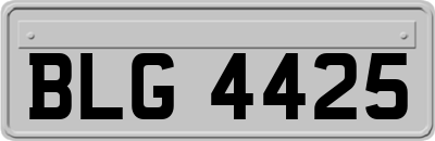 BLG4425