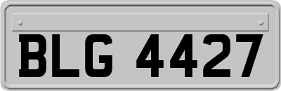 BLG4427