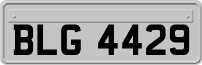 BLG4429
