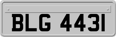 BLG4431