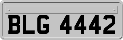BLG4442