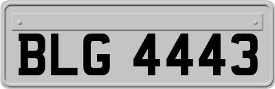 BLG4443