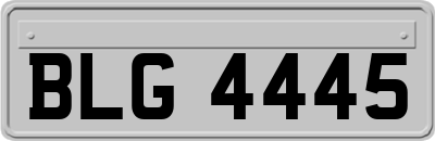 BLG4445