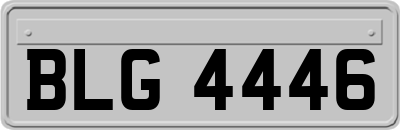 BLG4446