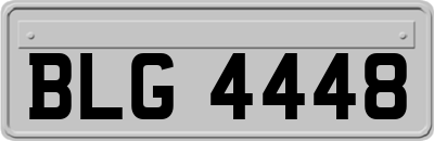 BLG4448