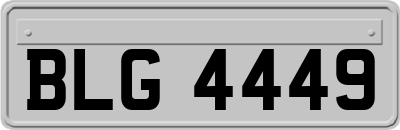 BLG4449
