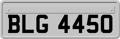 BLG4450