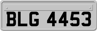 BLG4453