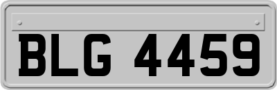 BLG4459