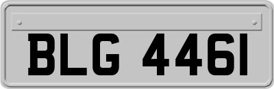 BLG4461