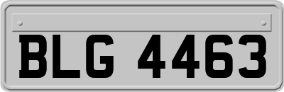 BLG4463