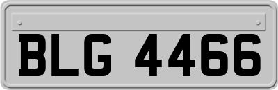 BLG4466